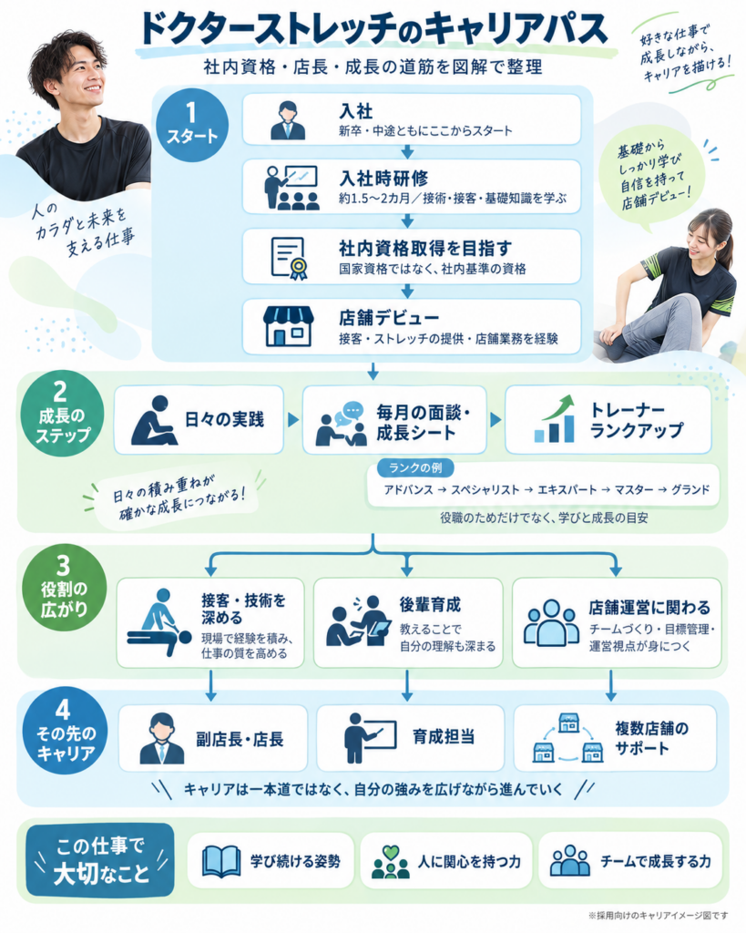 ドクターストレッチのキャリアパスを紹介する図解